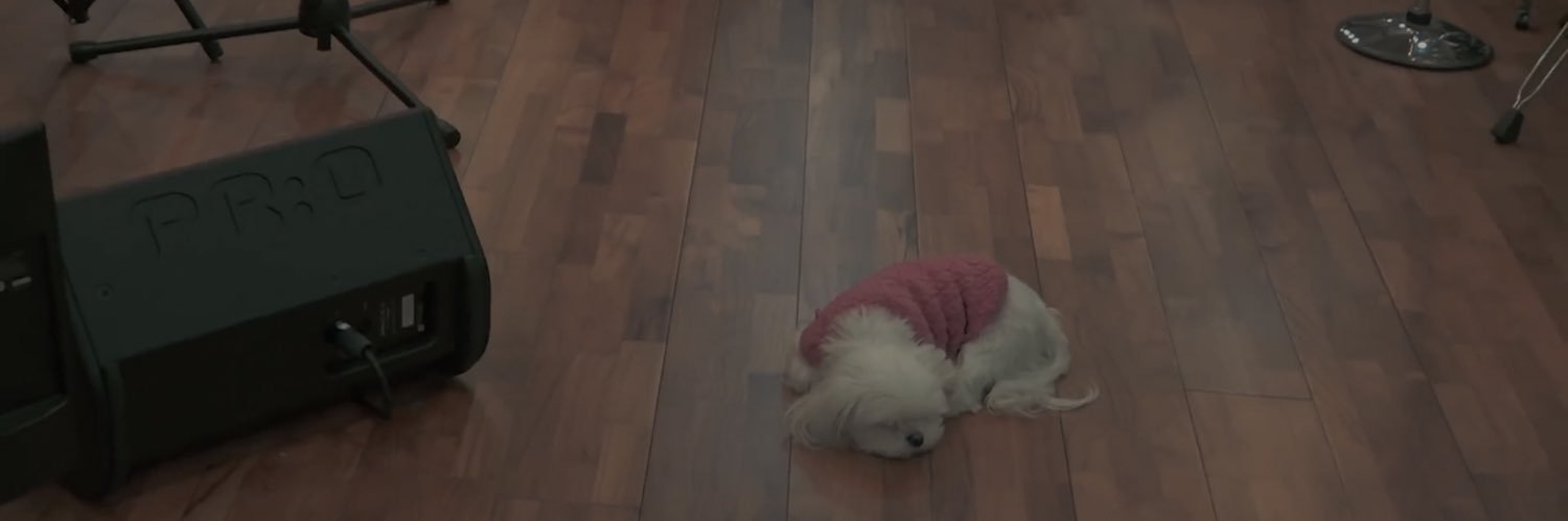 fruityerin's profile banner image