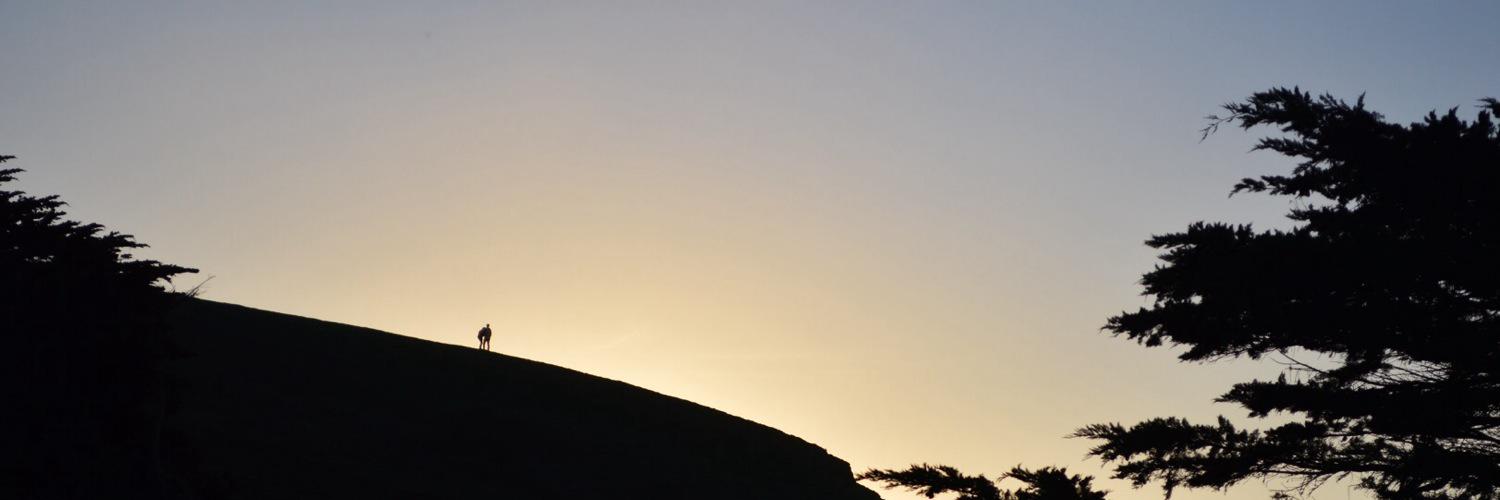 dk9ny2003's profile banner image