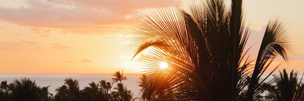 Harrie(t) Smith banner