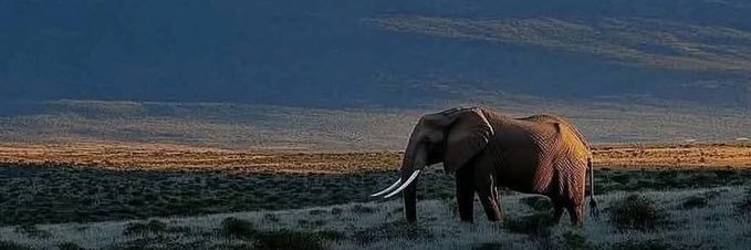 Musavisa2's profile banner image