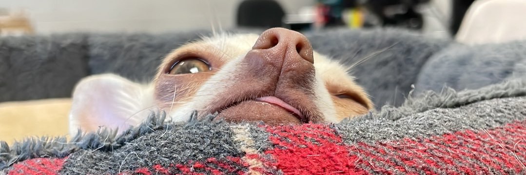 WadeStone's profile banner image