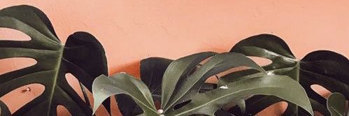 caitlynnb8's profile banner image