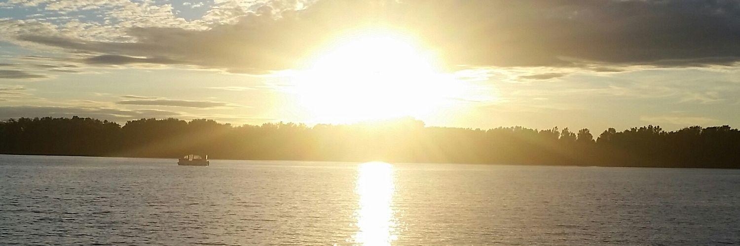 sushigod7's profile banner image