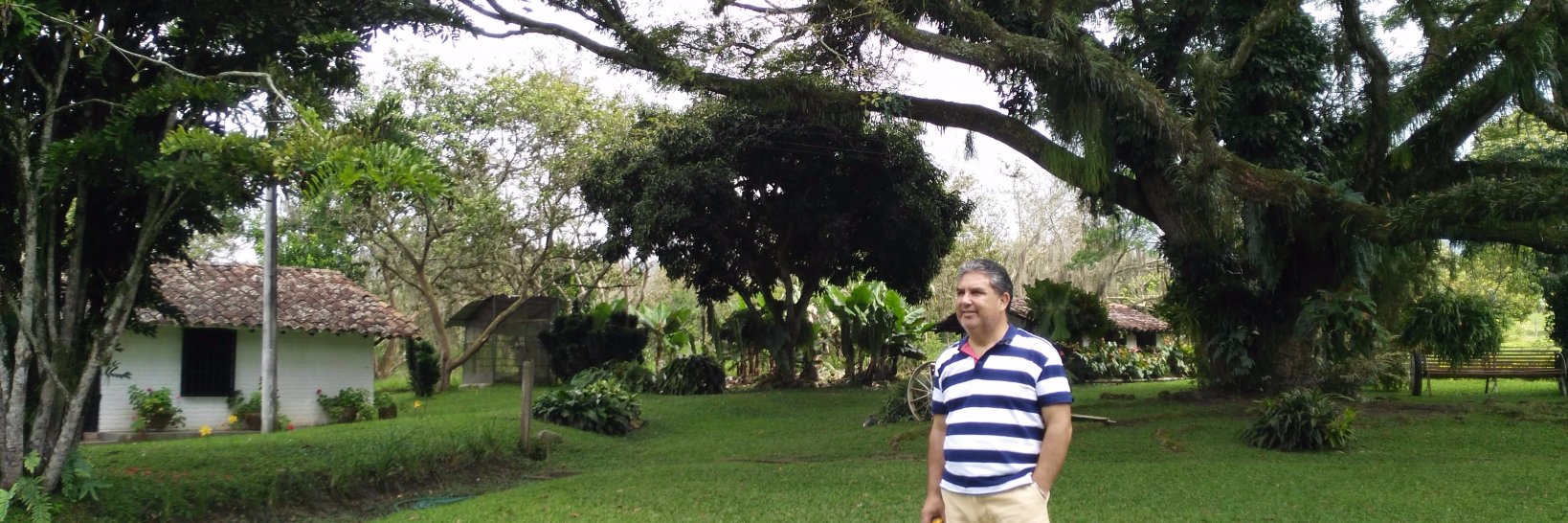 juan marquez araya banner