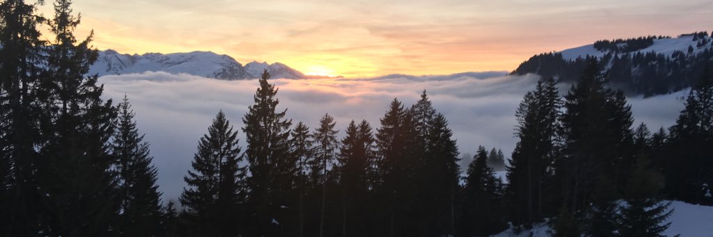 joppej's profile banner image