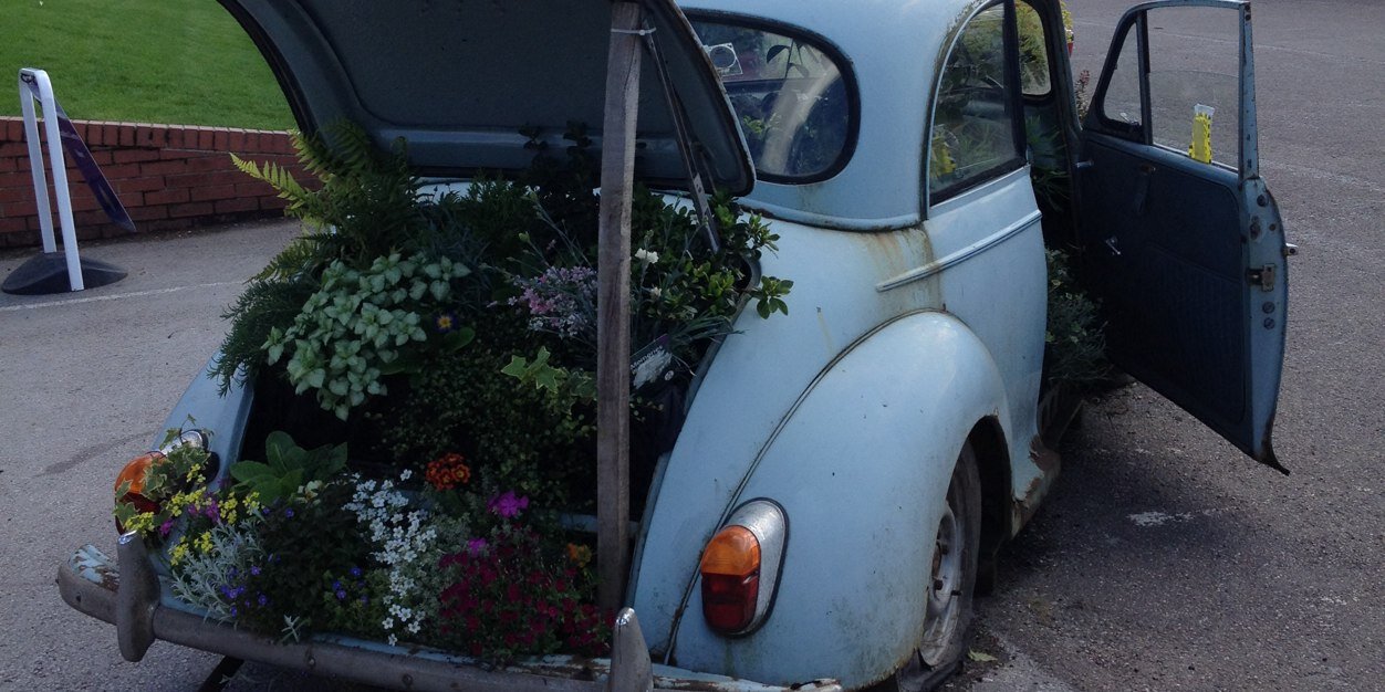 harriet_marlow's profile banner image