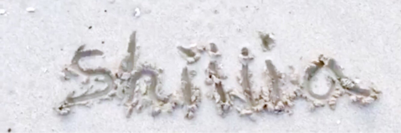 shiiiia's profile banner image