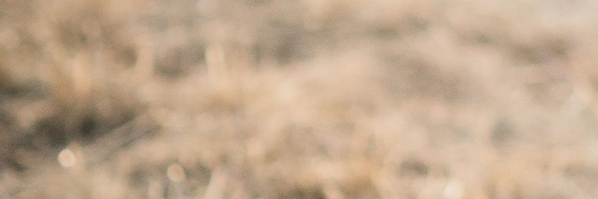 Emily Intsiful banner