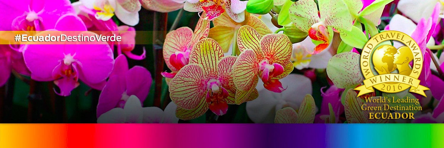 OrquideasEc's profile banner image