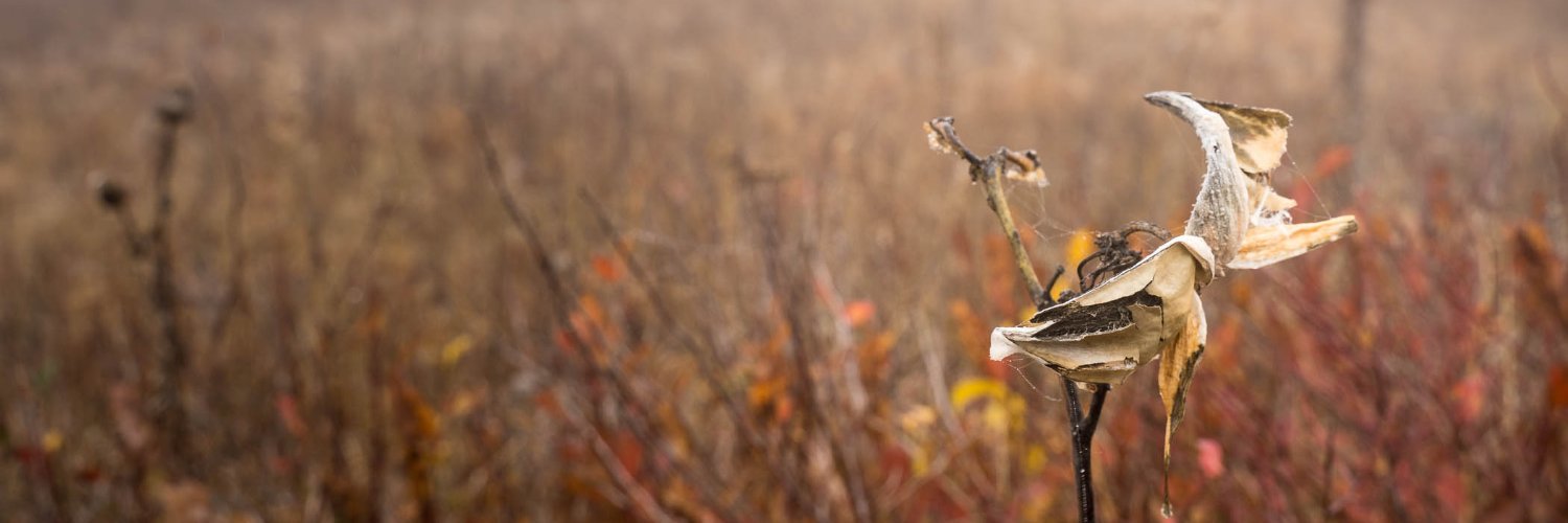 GardenandBook's profile banner image