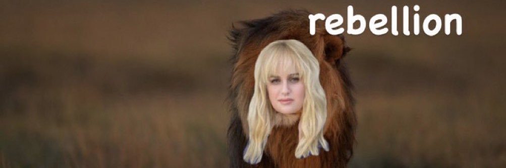 febward lizardhands banner