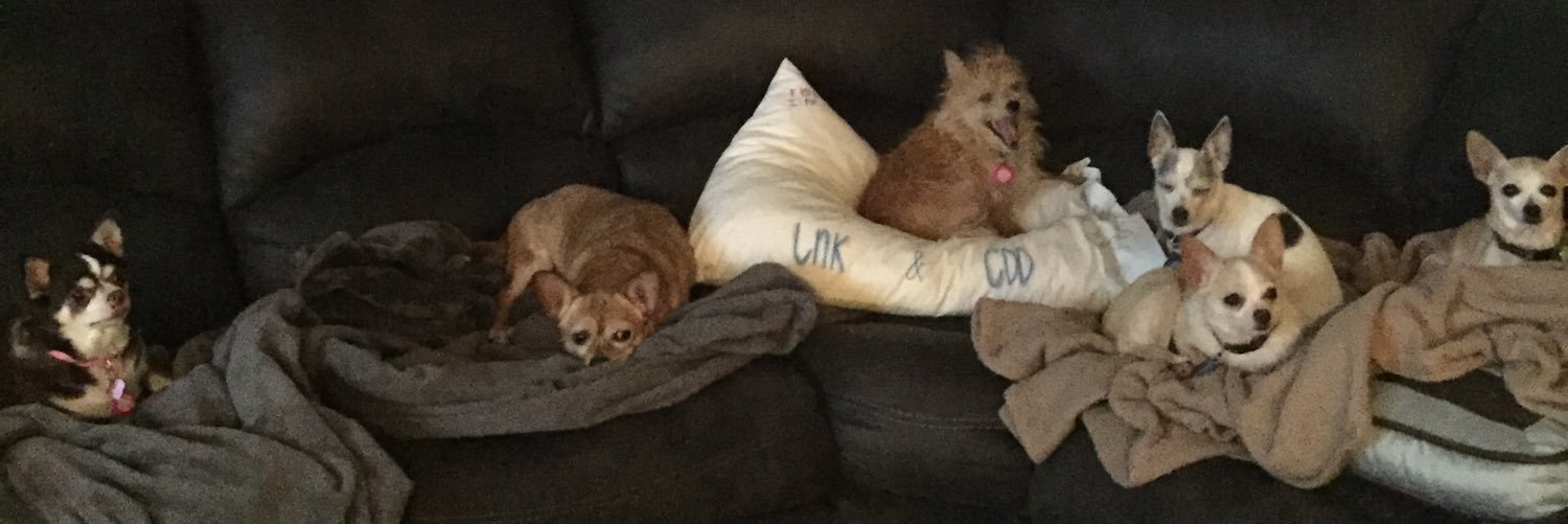 Jordan DeArmon banner