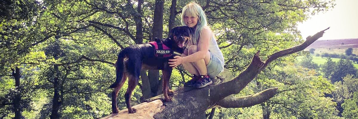 AllAnimalsWelco's profile banner image