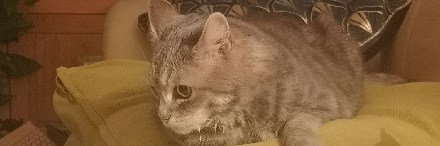 Jacq75's profile banner image