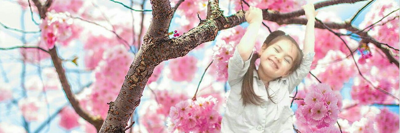 MichelleOkawar1's profile banner image