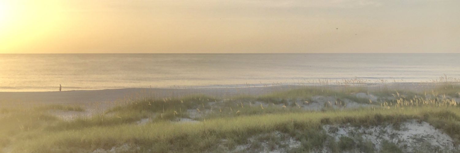 Cshell04's profile banner image