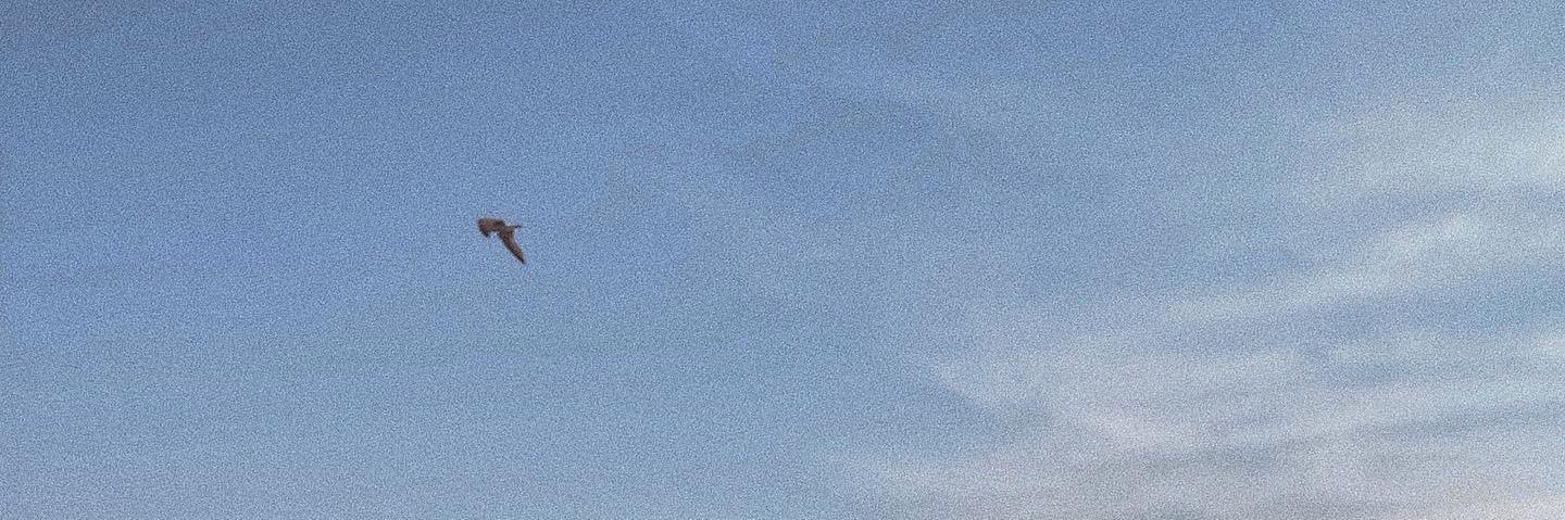 srklsmy's profile banner image