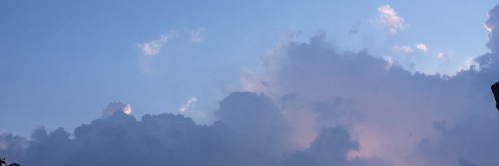 yoonji kim banner
