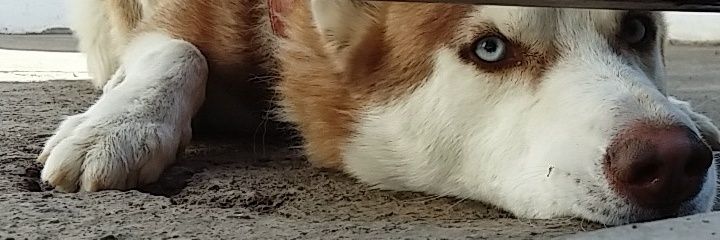 Ailynmp's profile banner image