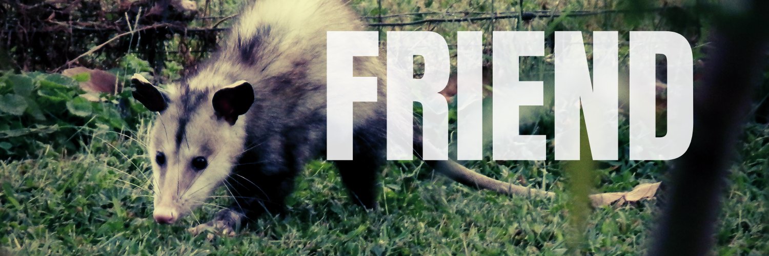 _possumcore's profile banner image