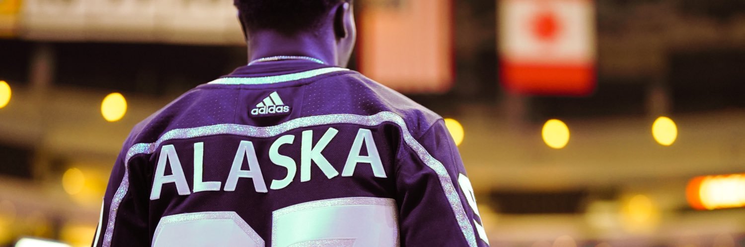 David Bullock banner