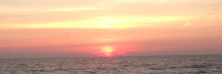 jdee328's profile banner image