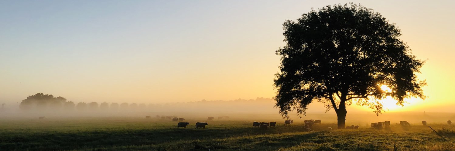 MarkRedmeyer's profile banner image