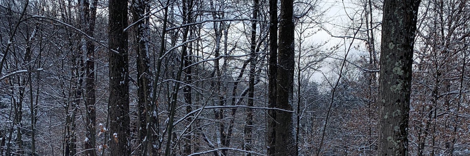 Brian Leighton banner