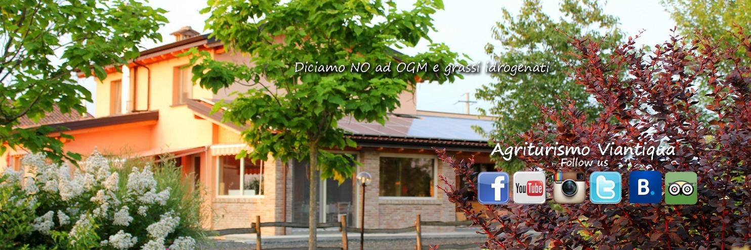 Viantiqua's profile banner image