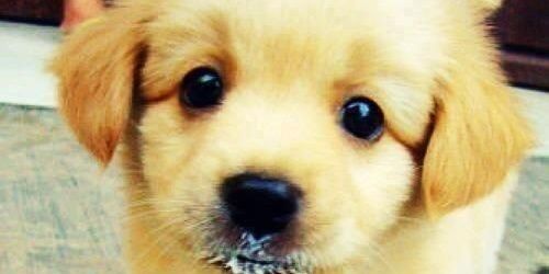 babysitterbora's profile banner image