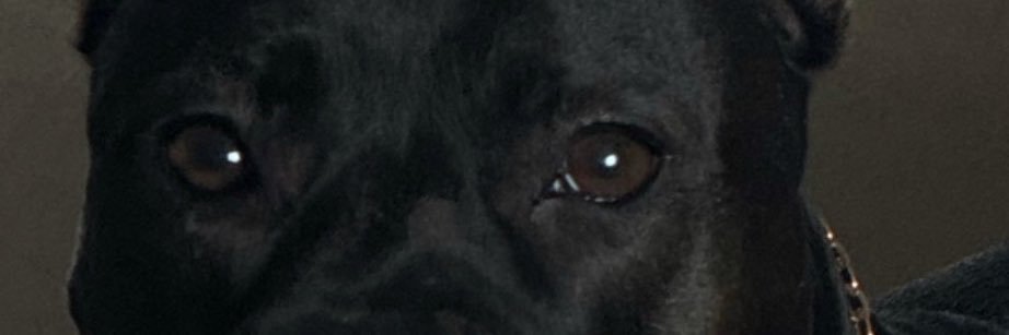 NazIncekalan's profile banner image