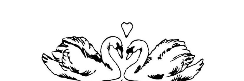 amymyrams's profile banner image