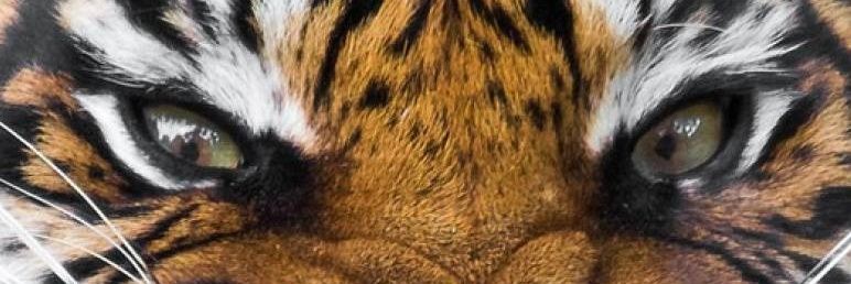isaacthe1's profile banner image
