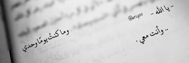al3lan1's profile banner image