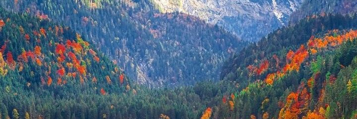 ataqee1's profile banner image