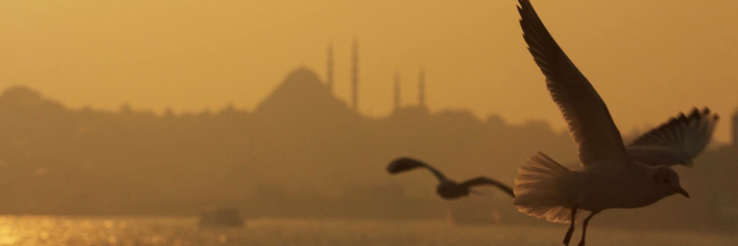 MetinTD34's profile banner image
