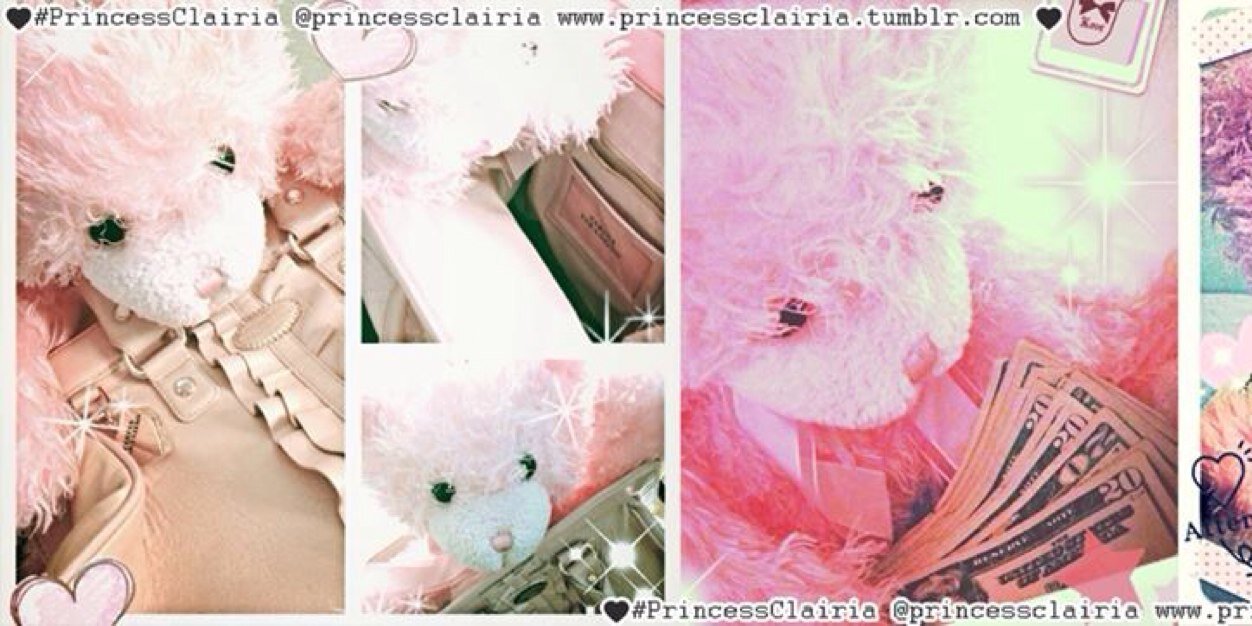 PrincessClairia's profile banner image