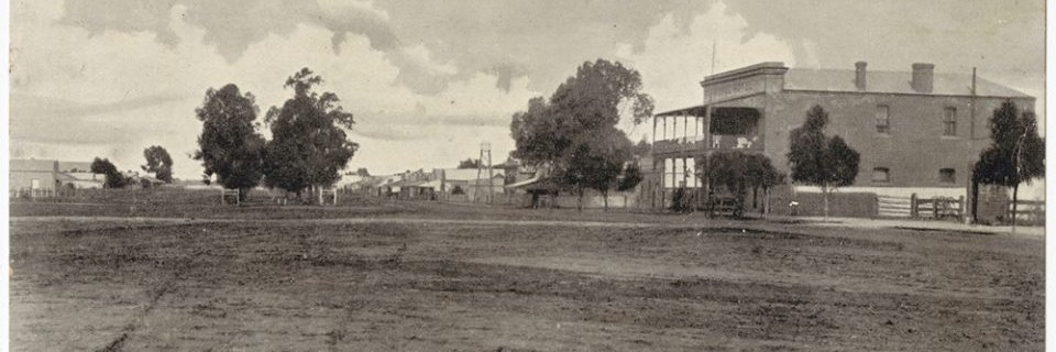 andojc 🌈🐯 banner