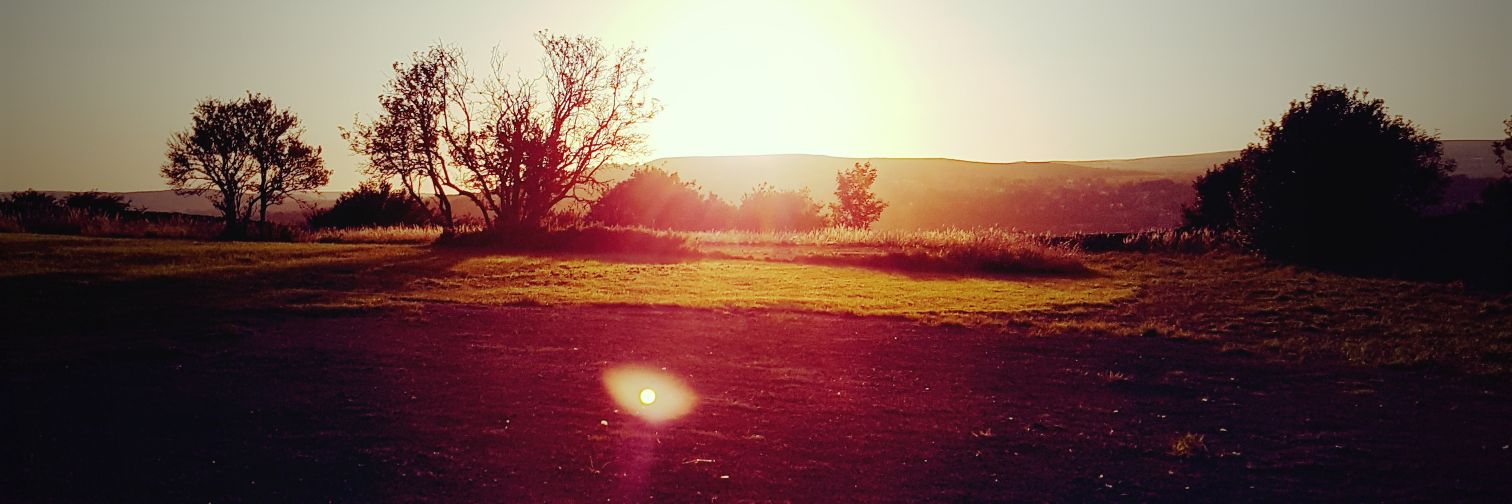 jemlou88's profile banner image