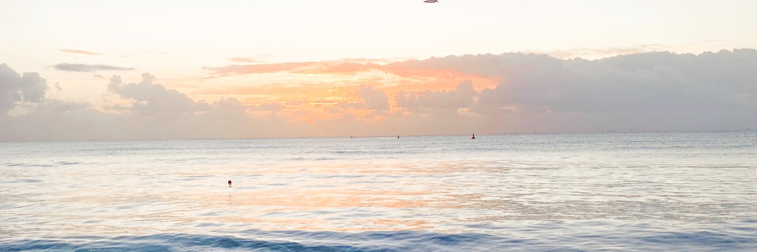 natyfernandezs's profile banner image