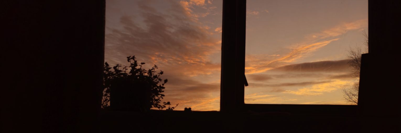 AlannahFox_'s profile banner image
