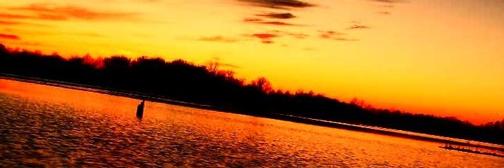 adoster2610's profile banner image