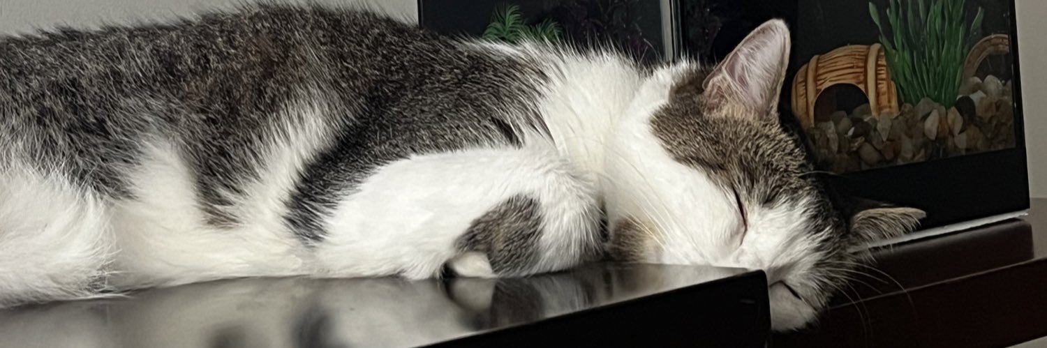 GaahFee_'s profile banner image