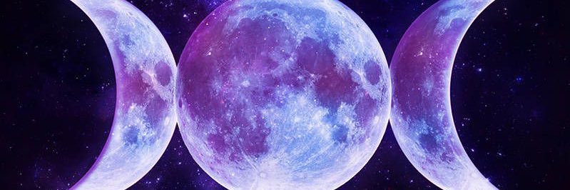 Rebecca Lin banner