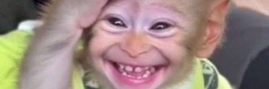 LWalassa's profile banner image