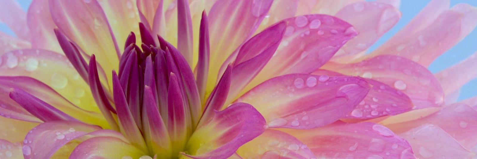 Jime0466's profile banner image