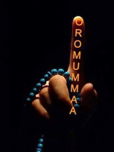 TagTagel's profile banner image