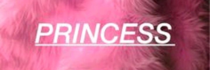 fernanda_fsd's profile banner image