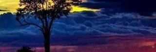 Sandruskiefe's profile banner image