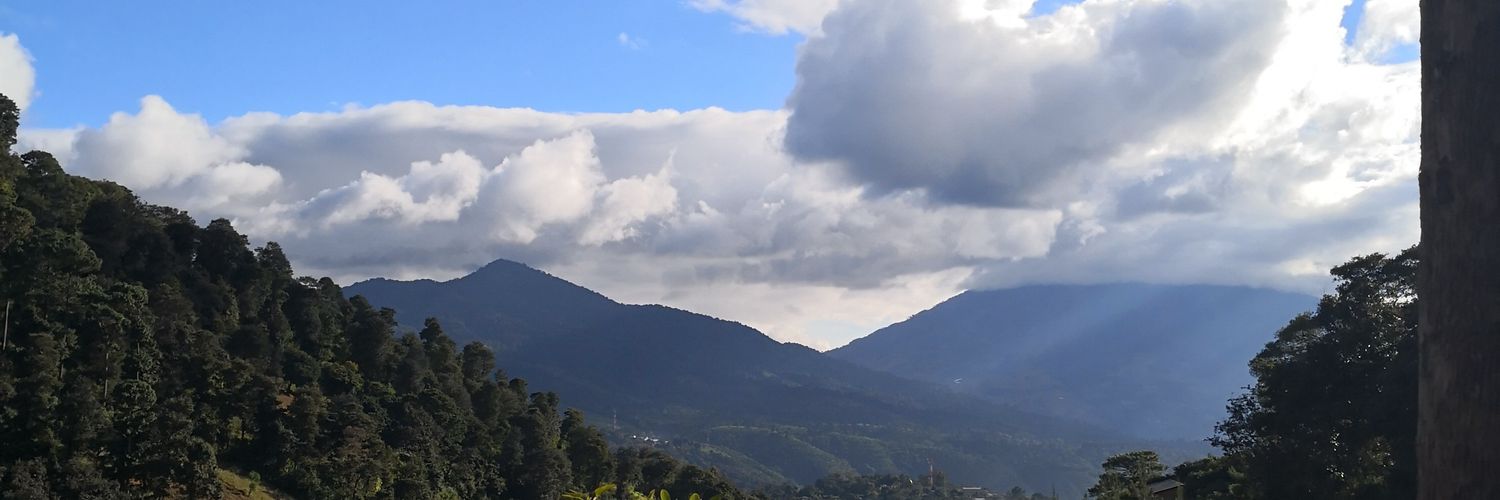 erecinosp's profile banner image